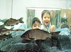Biwako aquarium 2